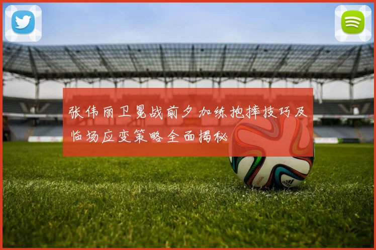 张伟丽卫冕战前夕加练抱摔技巧及临场应变策略全面揭秘