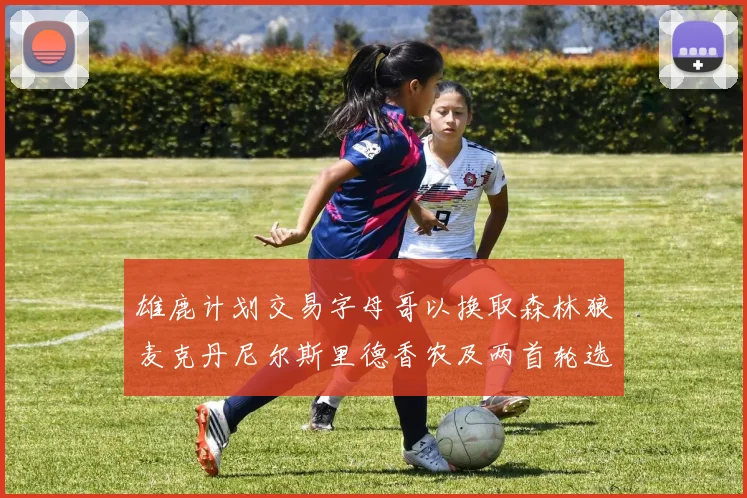 雄鹿计划交易字母哥以换取森林狼麦克丹尼尔斯里德香农及两首轮选秀权