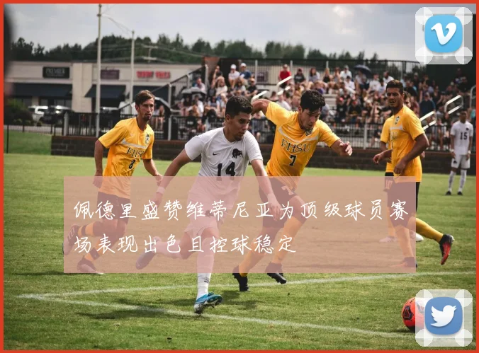 佩德里盛赞维蒂尼亚为顶级球员赛场表现出色且控球稳定